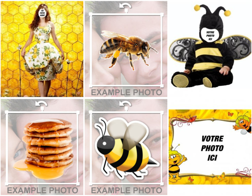 Cadres de tableaux ou des montages photo avec des ruches