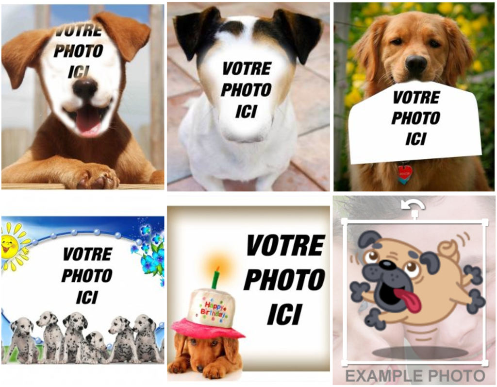 Effets photo de chiens pour modifier avec votre photo préférée gratuitement