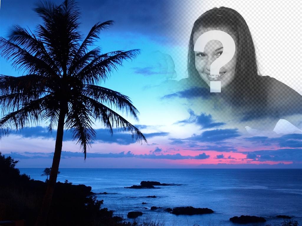 Monter des photos dans un paysage de littoral idyllique et ciel bleu. xx Créez un collage avec votre photo avec un fond dans lequel nous voyons un grand palmier et le ciel pour ce paysage avec une photo montrant à travers les bords semblent éliminer les bords et les effets..