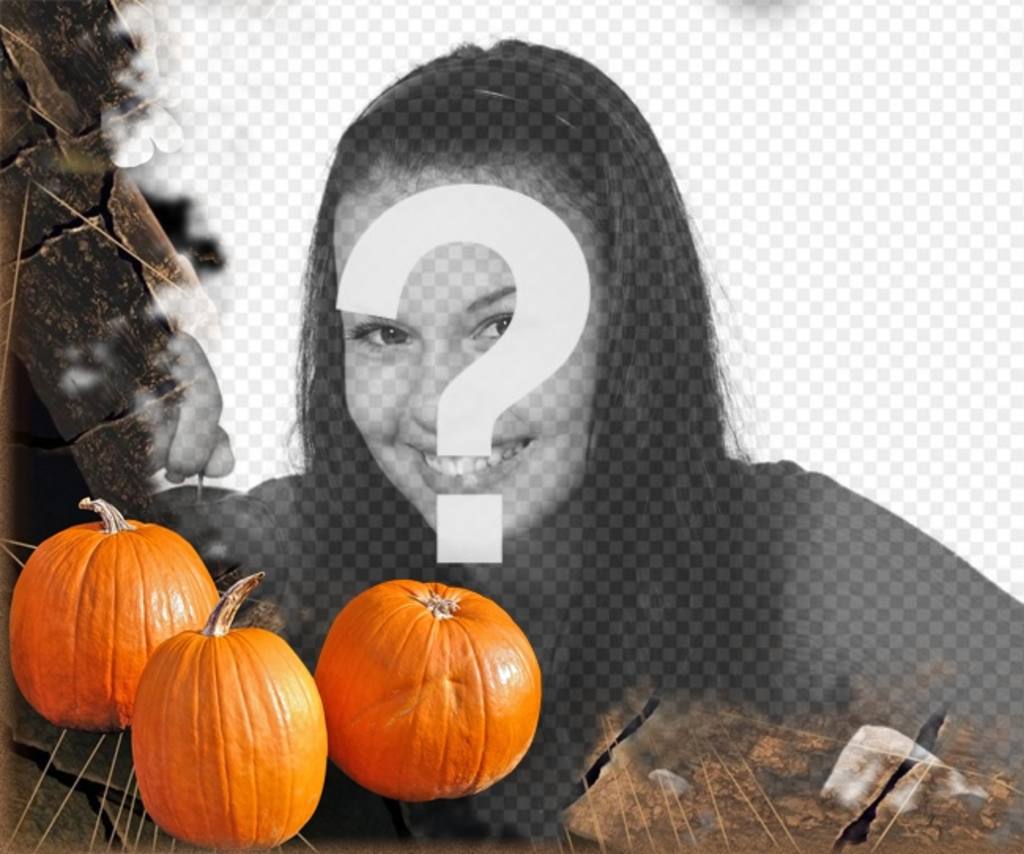 Cadre photo avec des citrouilles halloween background..