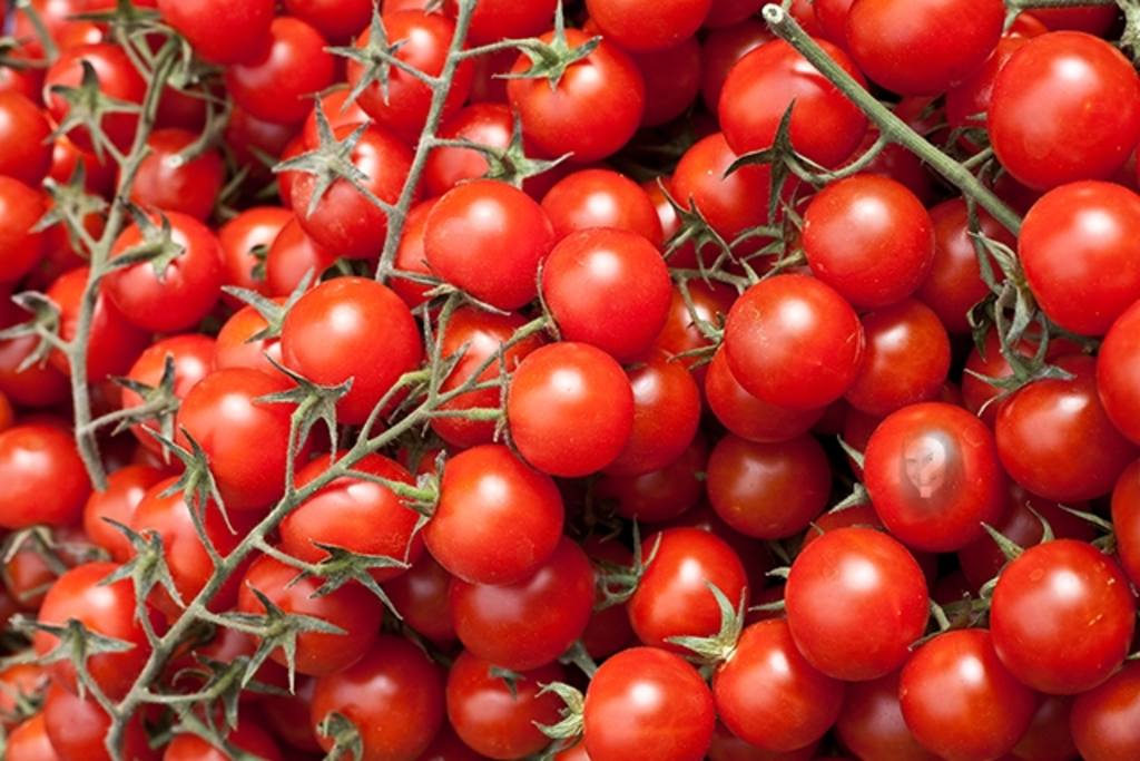 Jeu éducatif où vous placez une image dans une tomate pour les enfants d'apprendre à manger des légumes d'une manière..