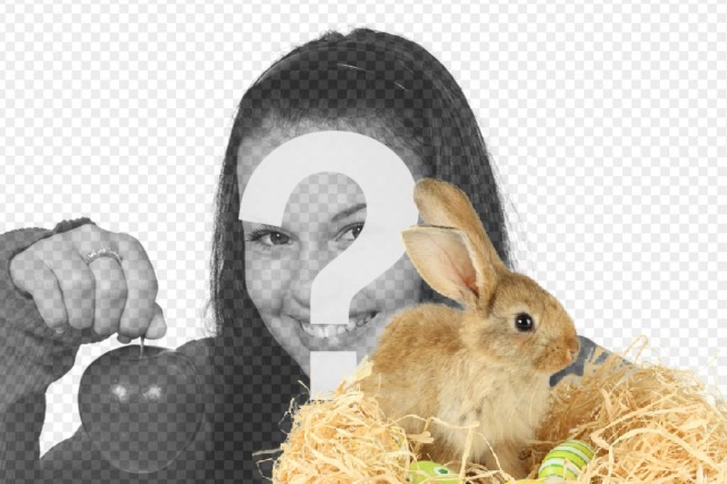 Photomontage avec un lapin et oeufs de pâques pour ajouter à vos photos en ligne et..