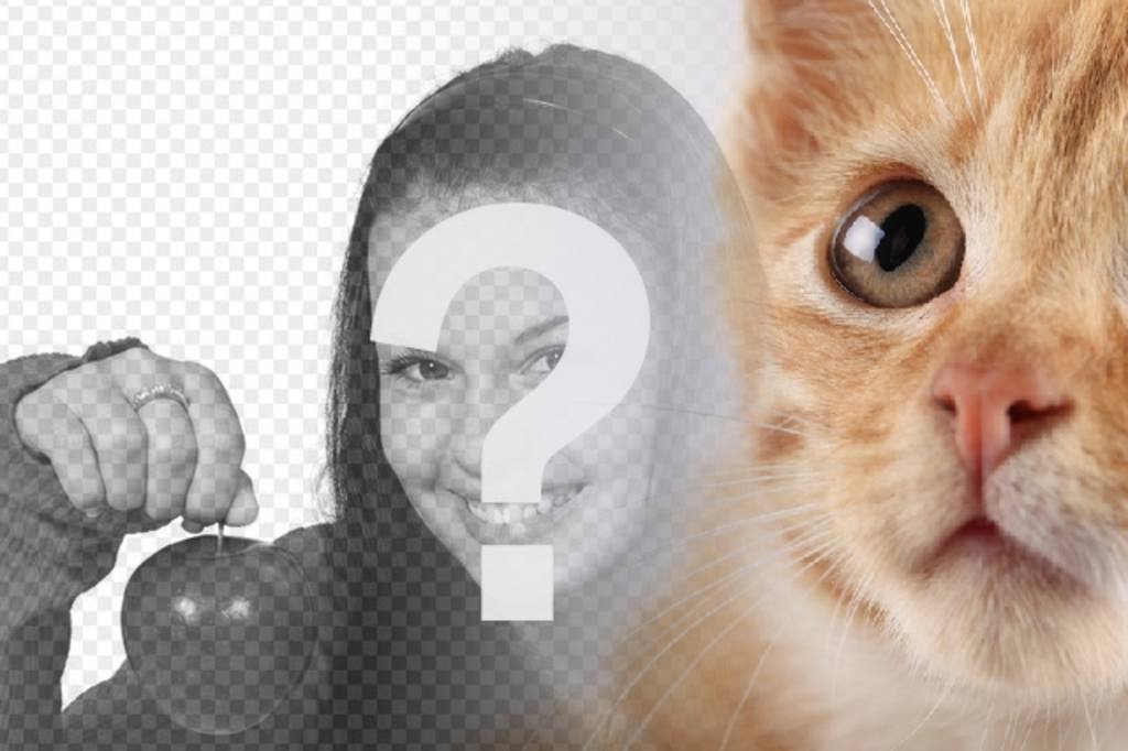 Ajouter cette cagnotte blond à vos photos et de les personnaliser avec du texte libre et en..