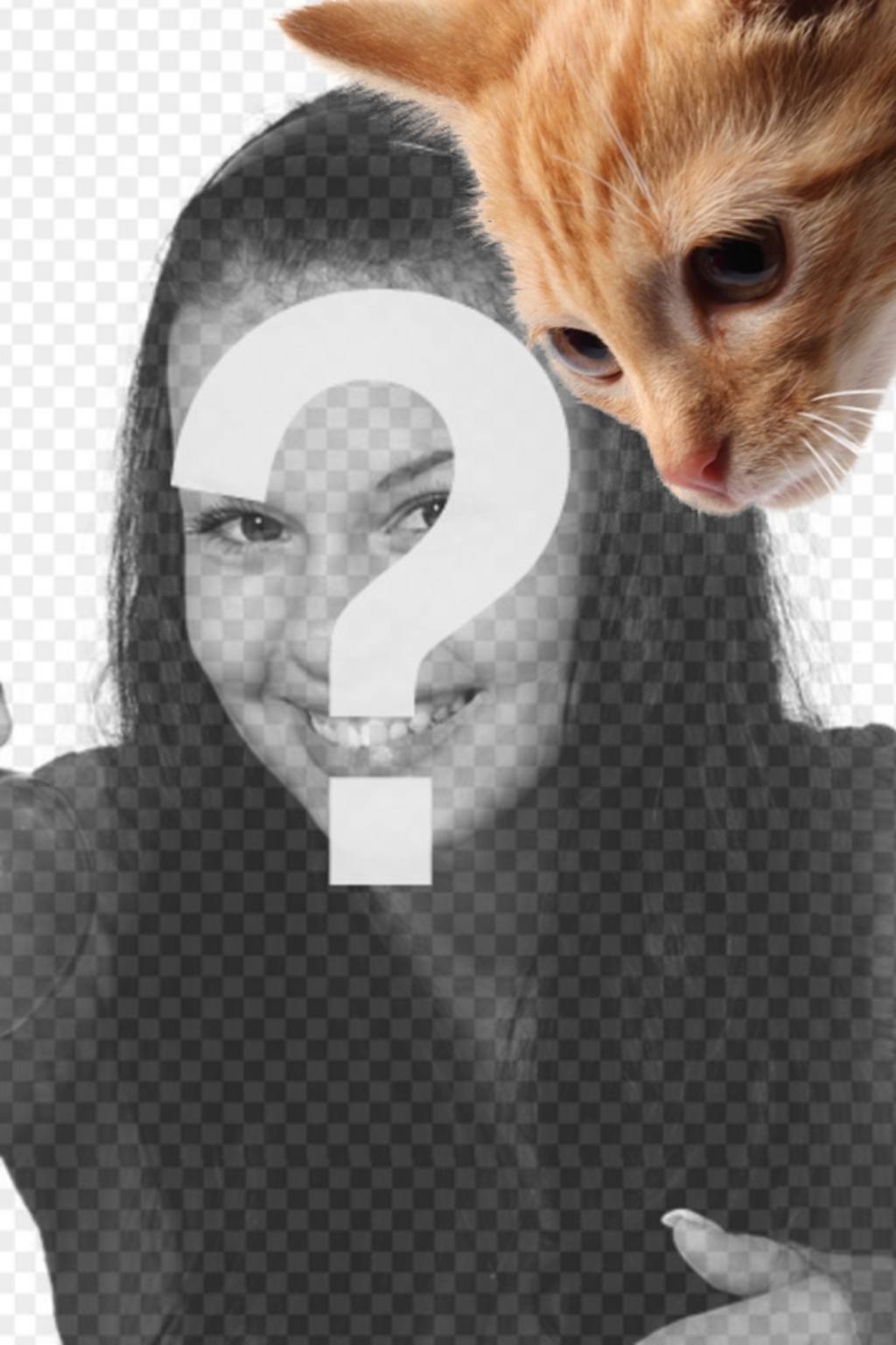 Ajouter un chaton à vos photos et également aussi de les personnaliser..