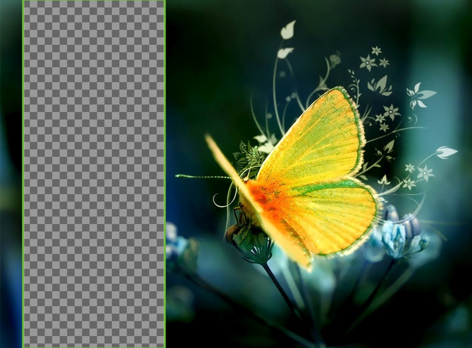 Fond décran pour deux photos avec un papillon jaune perché sur une fleur. ..