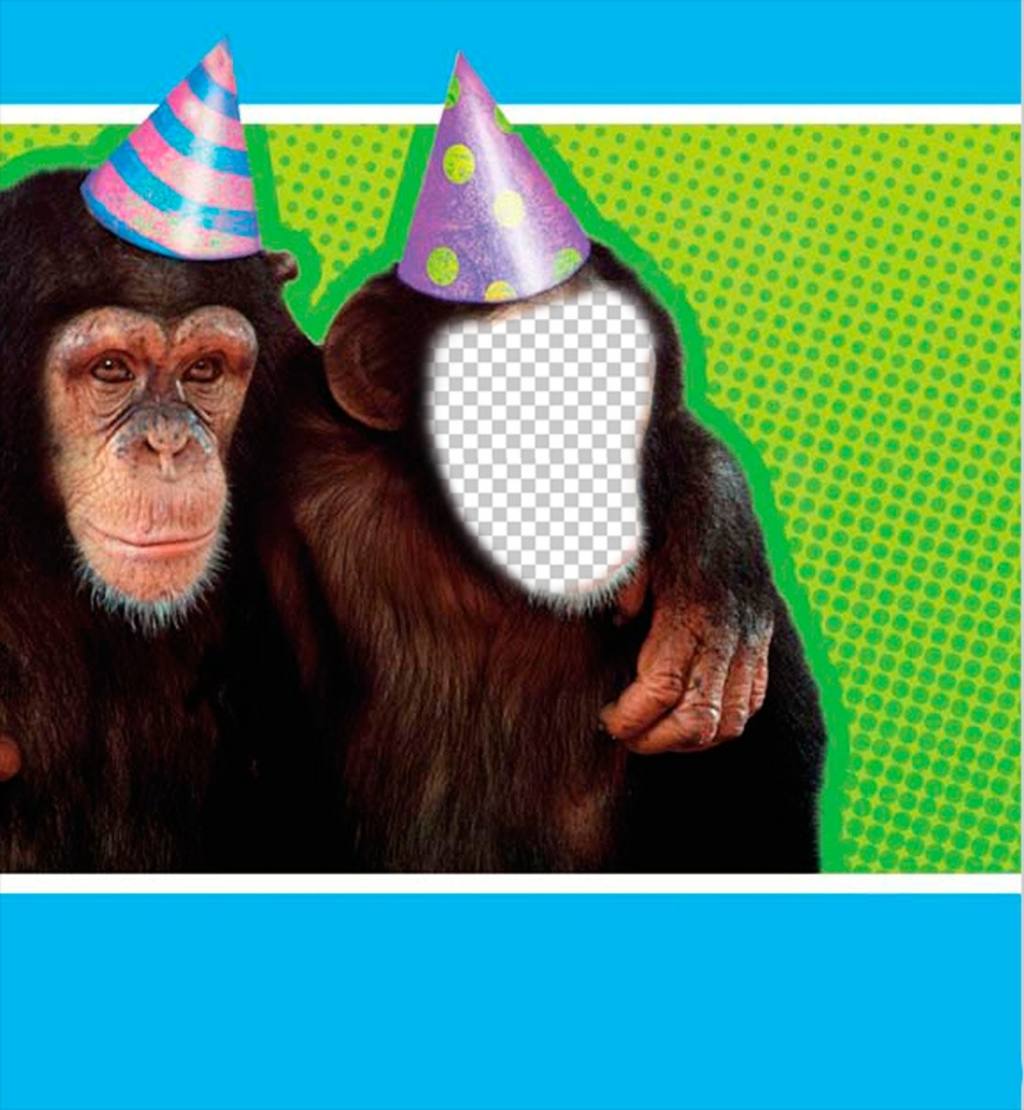Photomontage avec un singe habillé avec chapeau de fête. ..