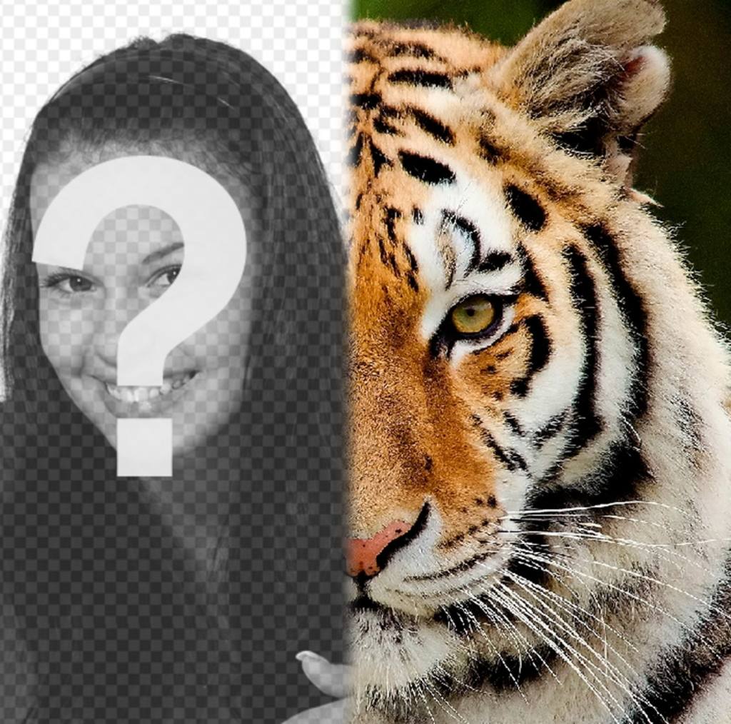 Photomontage davoir la moitié de son visage comme un tigre. ..