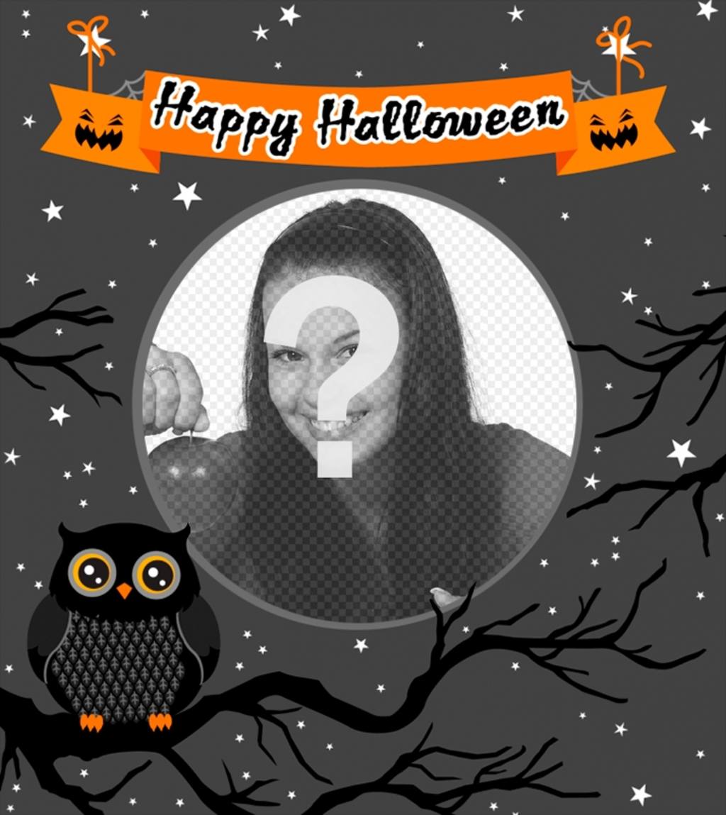 Cadre photo Halloween avec un hibou ..