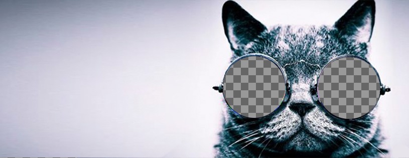 Personnalisable photo de couverture pour Facebook avec un chat avec des lunettes de soleil ..