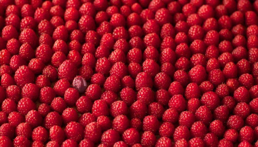 Jeu pour votre image avec une pile de framboises ..