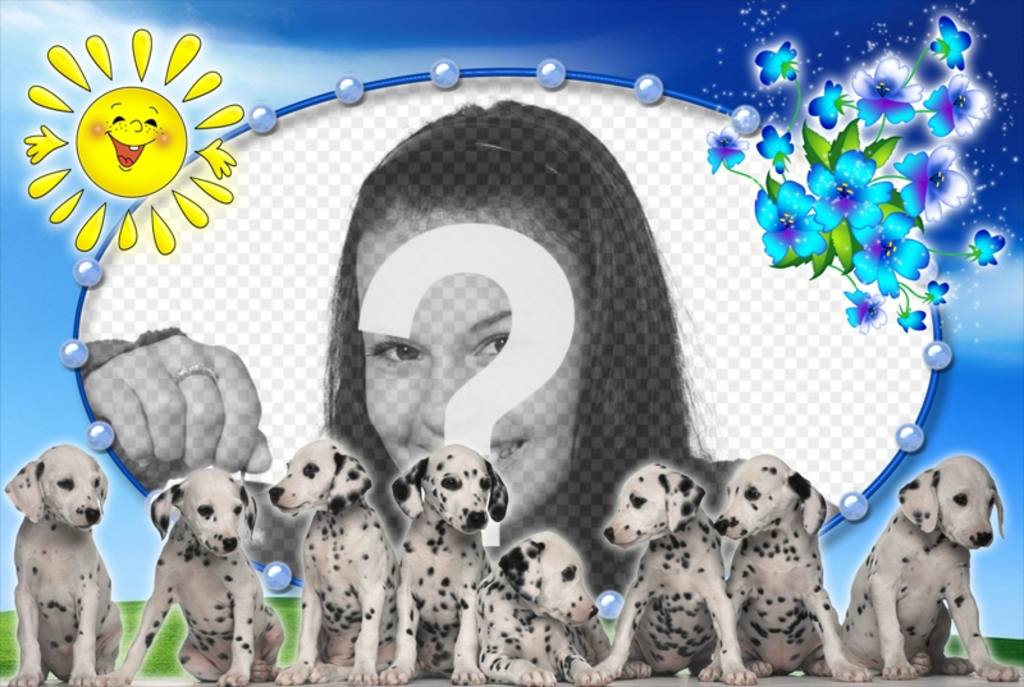 Photomontage avec chiots dalmatiens et fond de photo. ..