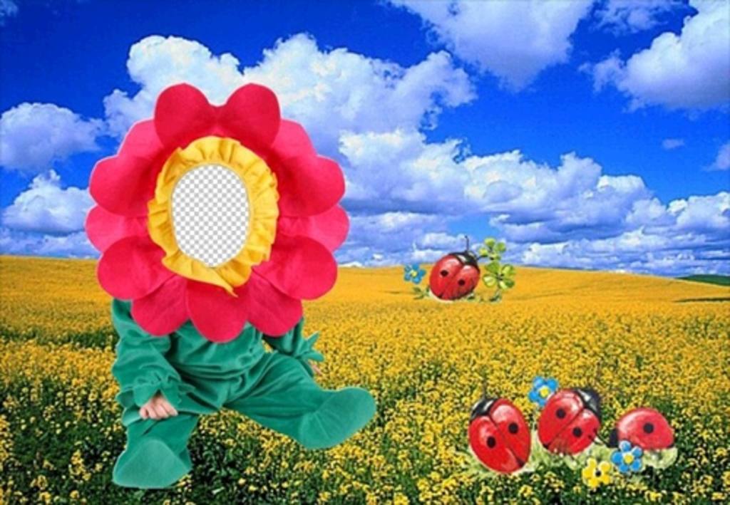 Costume de fleurs dans la prairie, de mettre le visage de votre bébé ..