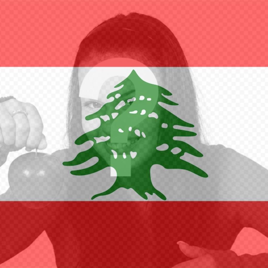 Drapeau du Liban à mettre sur votre photo de profil de réseautage..