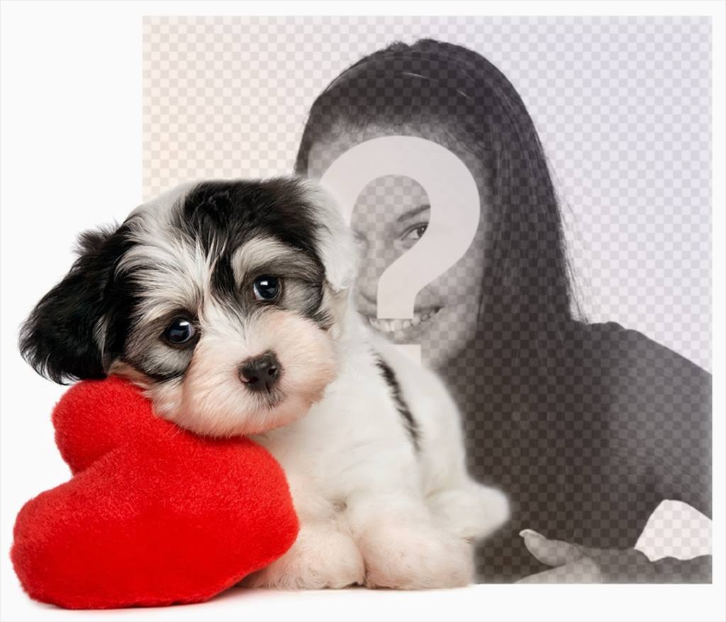 Effet photo dun chiot avec un coeur pour votre photo ..