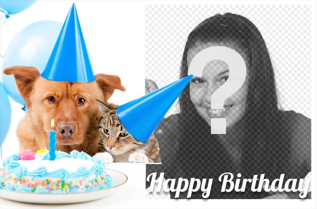 Carte danniversaire douce avec un chien et un chat pour une image ..