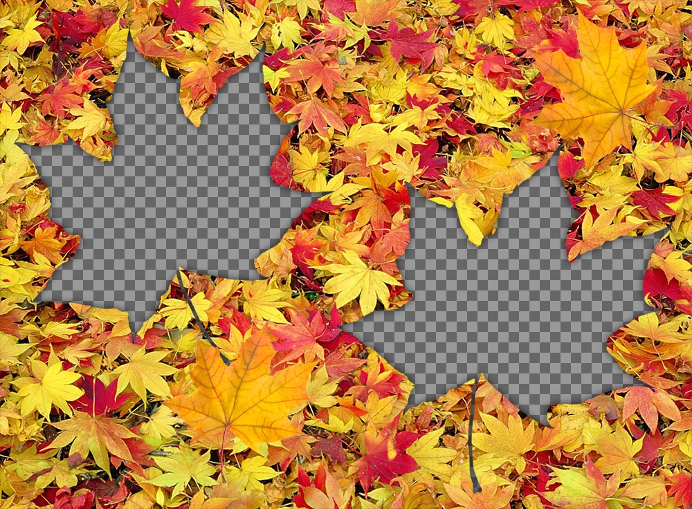 Cacher sous les feuilles mortes avec cet effet pour deux photos ..