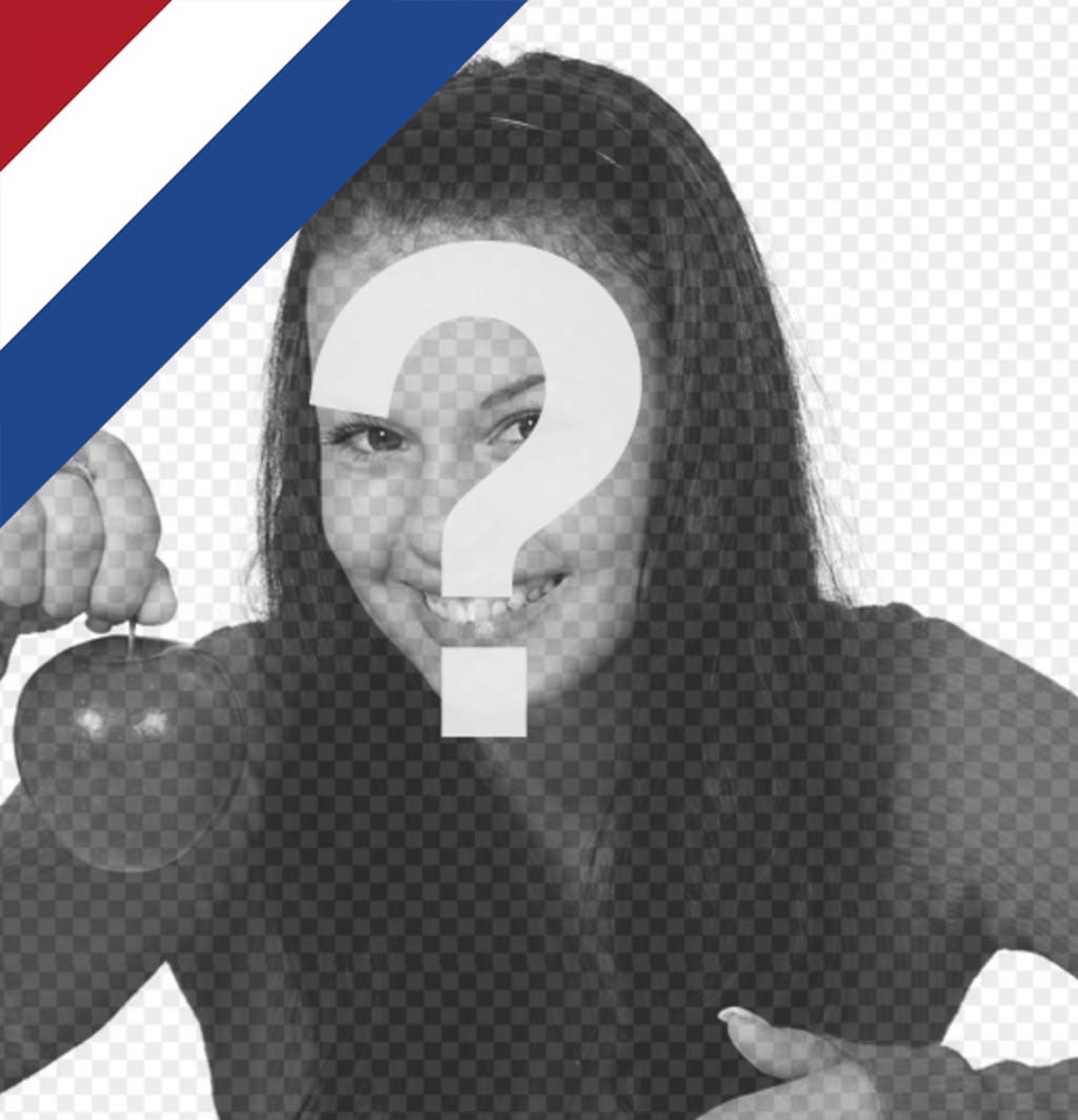 drapeau néerlandais à mettre sur le coin de vos photos gratuitement ..
