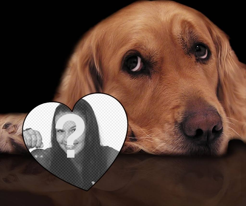 amour Photomontage avec un chien dappel doffres pour ajouter votre photo à un ..
