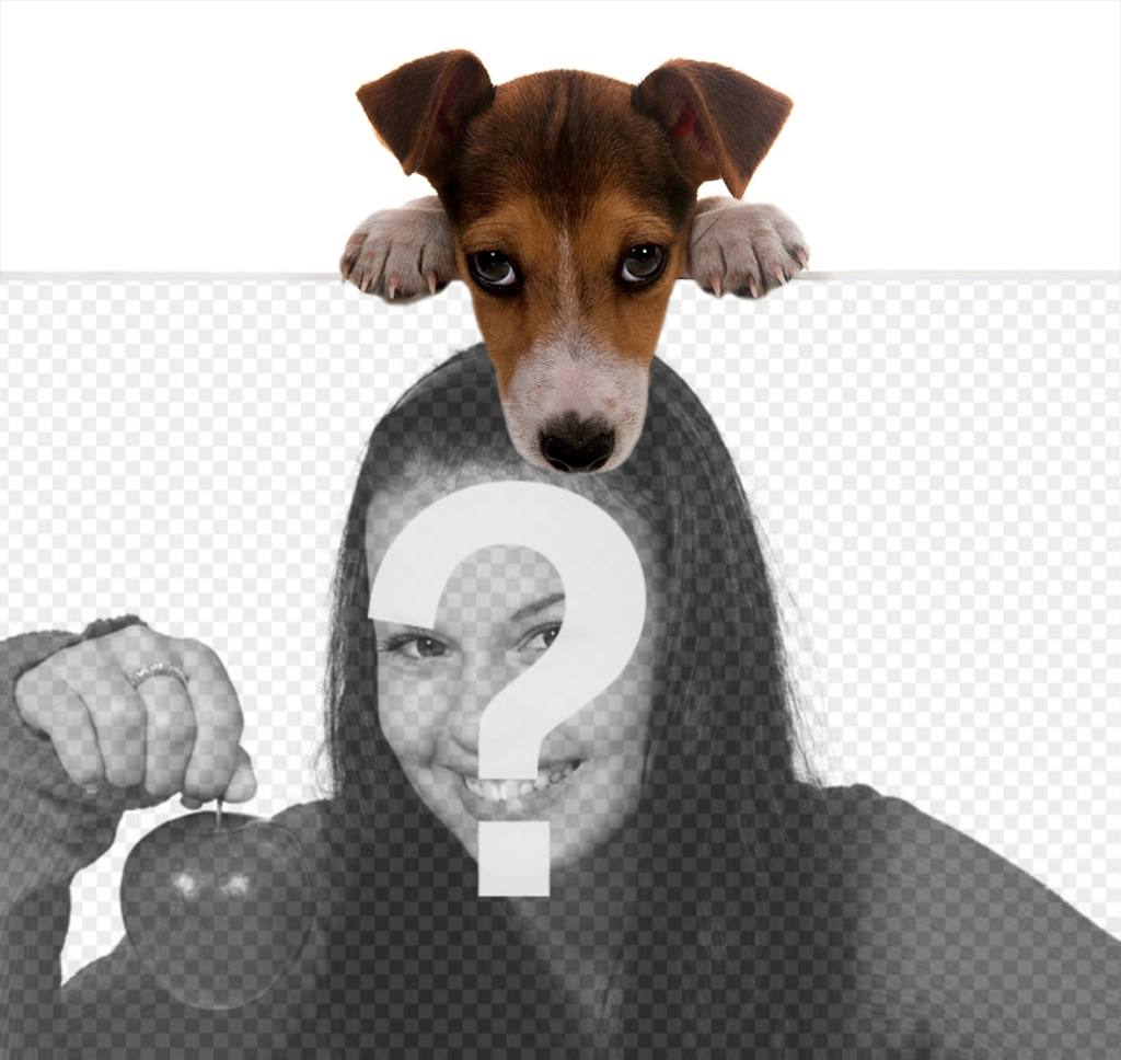 effet en ligne dun chiot mignon tenant votre photo ..