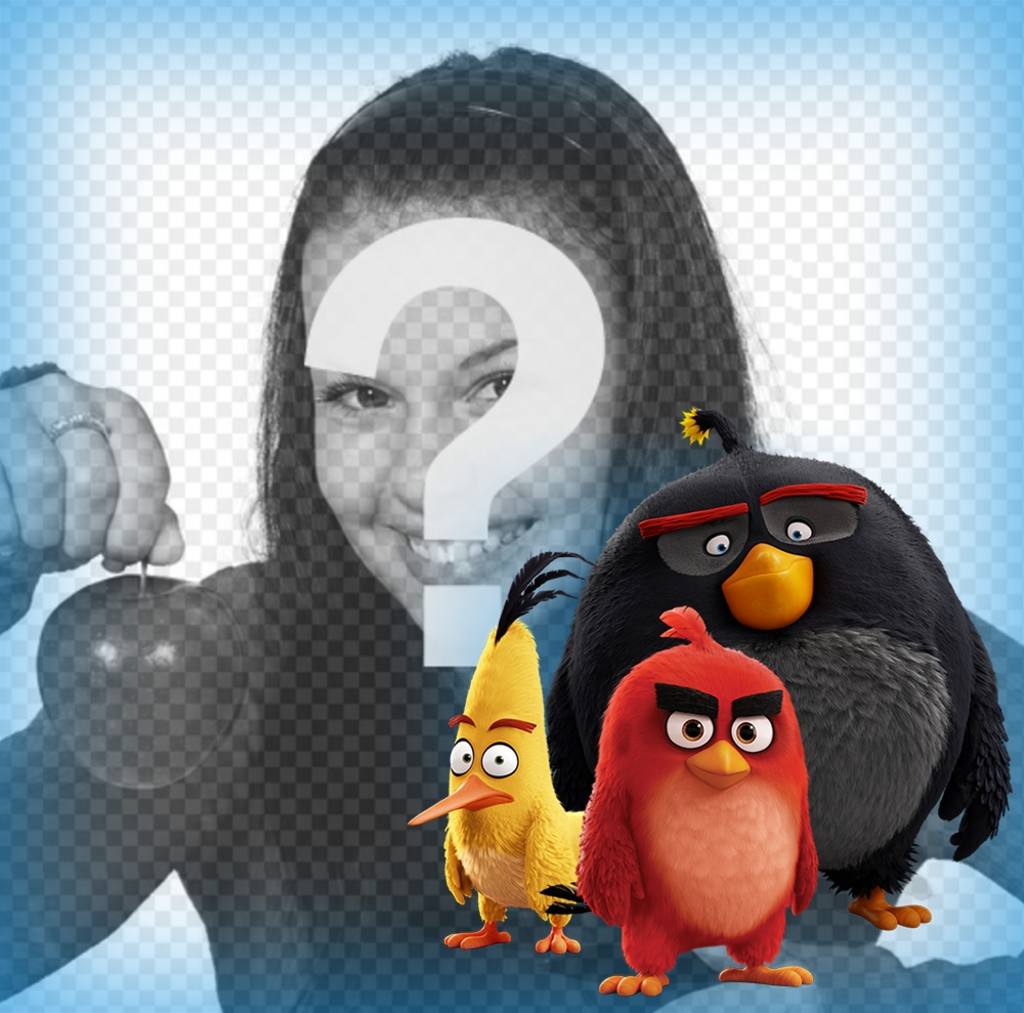 Les personnages de Angry Birds qui vous accompagnent dans vos photos avec cet effet ..