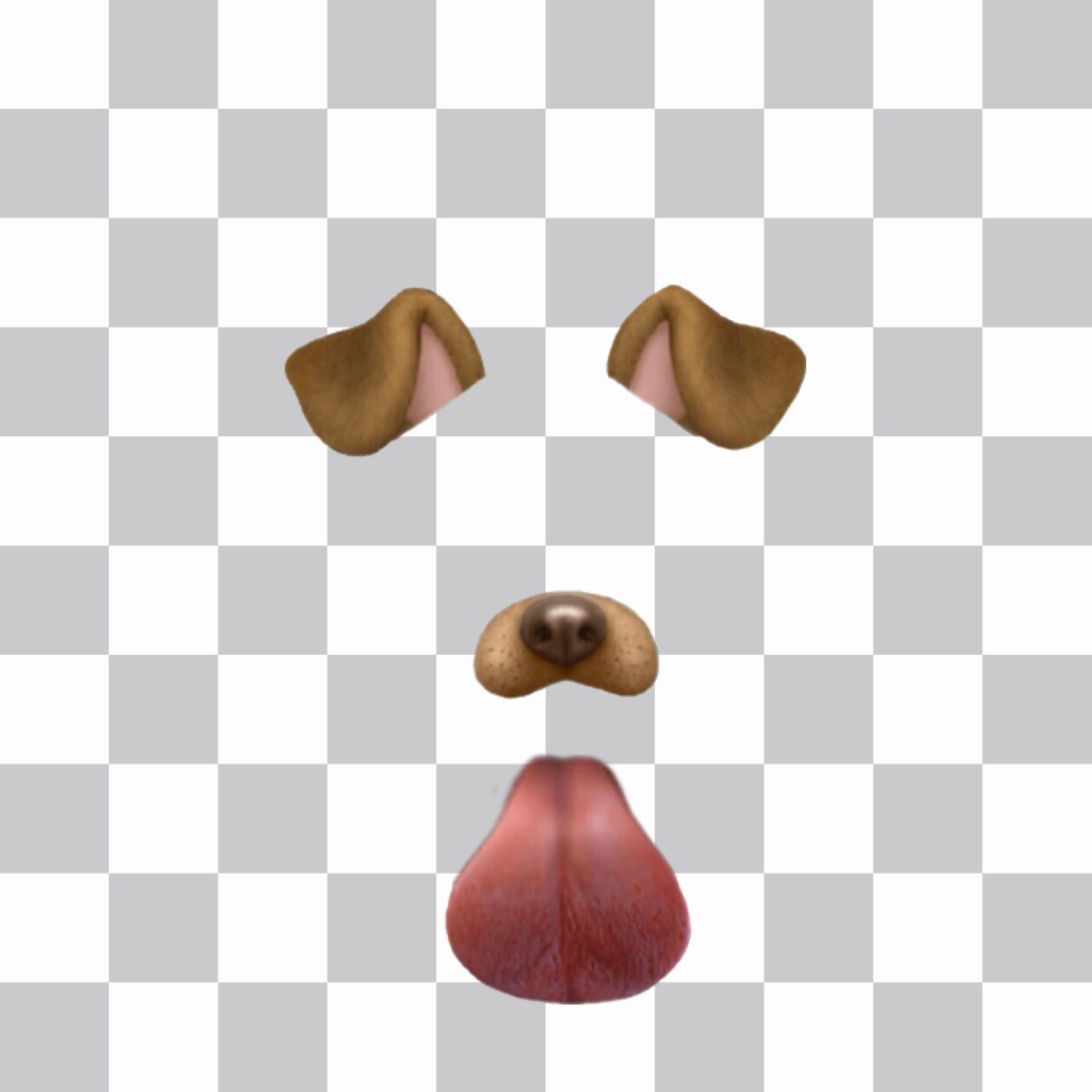 Filtre Dog Snapchat collant sa langue à mettre sur votre visage 