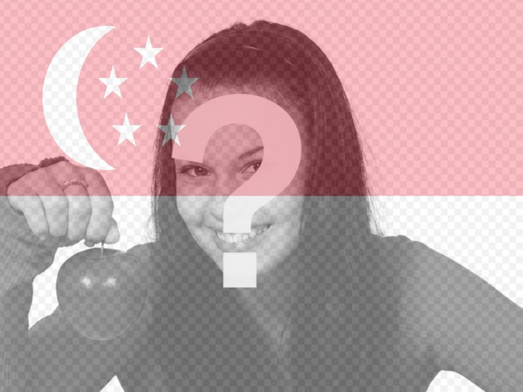 Montage de mettre Drapeau Singapour mélangé avec une photo que vous..